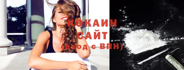 твердый Осинники