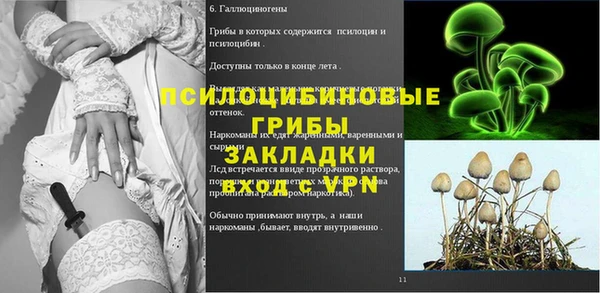 твердый Осинники