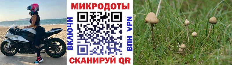 Псилоцибиновые грибы Magic Shrooms Краснослободск
